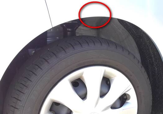 アシナガバチ注意点自家用車